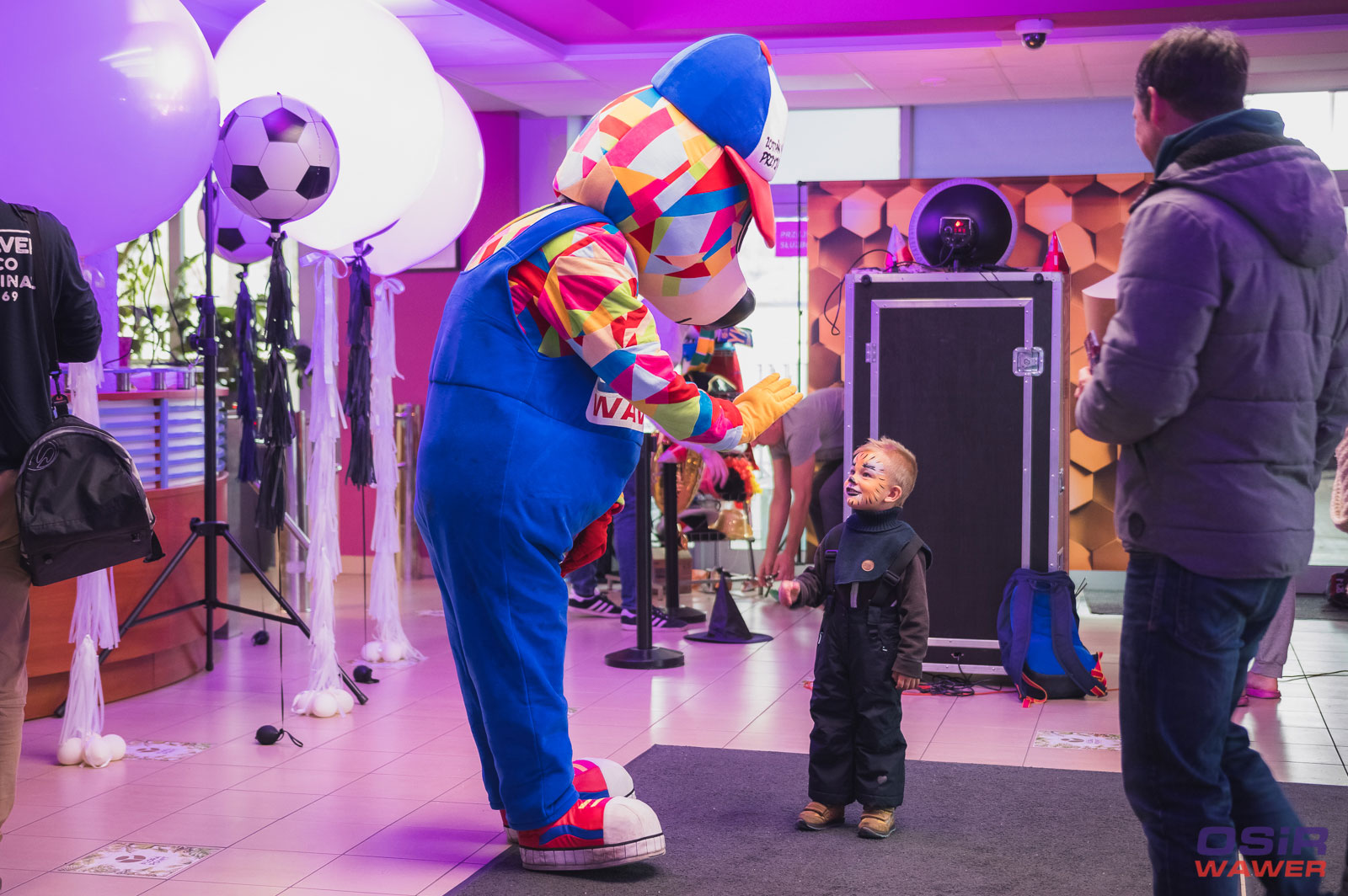 Tak najpiękniejsze misie na świecie ELabik pozują do wspólnej fotografii z zachwyconym dzieckiem